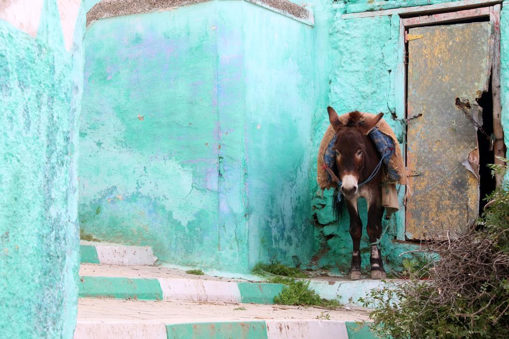 Dar Zerhoune Bed & Breakfast Moulay Idriss Zerhoun Exterior photo