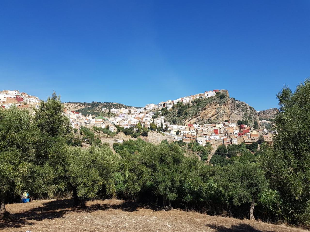 Dar Zerhoune Bed & Breakfast Moulay Idriss Zerhoun Exterior photo